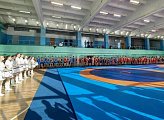 Александр Богович принял участие в торжественной церемонии награждения победителей спортивных соревнований в г. Оленегорске.