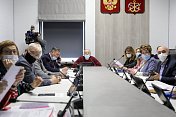 В областной Думе прошло заседание комитета по социальной политике и охране здоровья, которое вел заместитель председателя комитета Роман Пономарев