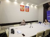 Состоялось заседание Экспертного совета по культуре  Молодежного парламента при Государственной Думе