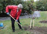 Депутаты регионального парламента приняли участие в ежегодной городской акции "Зеленый рекорд"