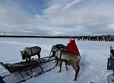Ирина Просоленко: "Праздник Севера - это не только спорт и зрелище, это возможность прикоснуться к культуре, которая делает наш край уникальным"