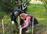Региональные парламентарии приняли участие в акции "Зеленый рекорд"