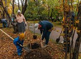 В Мурманске прошла акция «Зеленый рекорд»