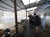 Депутаты областной Думы посетили сельхозпредприятие «Тулома»
