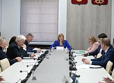 В Думе прошло заседание комитета по бюджету, финансам, налогам и экономике под председательством Ирины Просоленко 