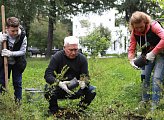 Региональные парламентарии приняли участие в акции "Зеленый рекорд"