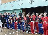Уважаемые земляки, 18 января принял участие в торжественном открытии шестого чемпионата и первенства Мурманской области по кикбоксингу памяти Мастера спорта России международного класса Элины Гисмеевой