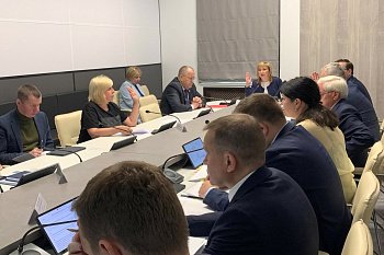 Состоялось заседание комитета по бюджету, финансам и налогам под председательством Ирины Просоленко