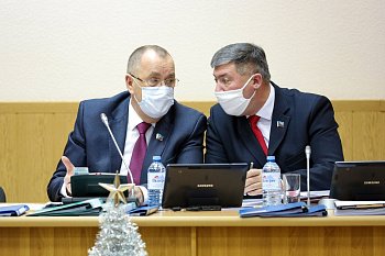 Владимир Мищенко принял участие в заседании Думы