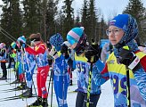  Малый Мурмашинский  лыжный марафон, посвященный памяти Александрова Юрия Павловича и Васильева Александра Валерьевича
