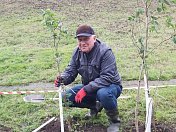 Уважаемые земляки, 12 сентября вместе с неравнодушными мурманчанами разных возрастов традиционно принял участие в общегородской акции "Зеленый рекорд"
