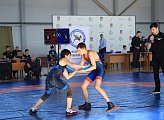 В Мурманске стартовали областные соревнования по спортивной борьбе 